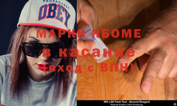 гидра Аркадак