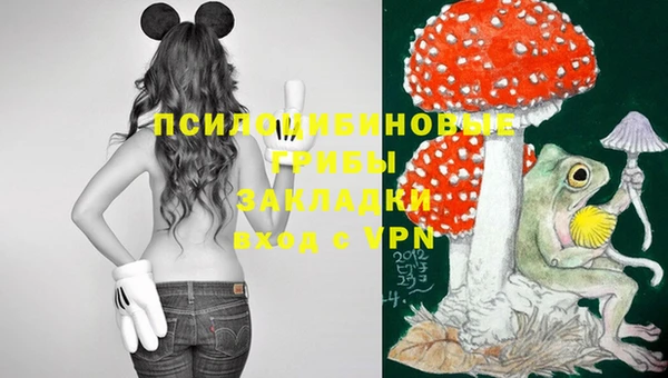 ECSTASY Армянск