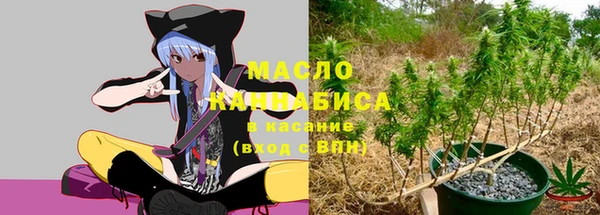 гидра Аркадак