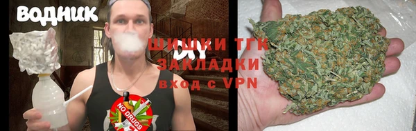 дживик Арсеньев