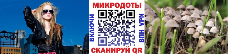 наркошоп  Кущёвская  Галлюциногенные грибы MAGIC MUSHROOMS 