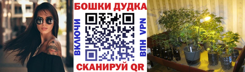 цена   Кущёвская  Шишки марихуана AK-47 